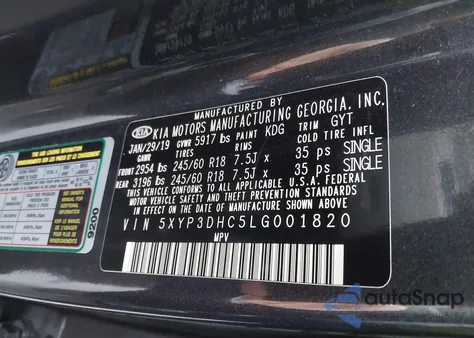 2020 Kia Telluride Ex from USA, damaged, VIN 5XYP3DHC5LG001820